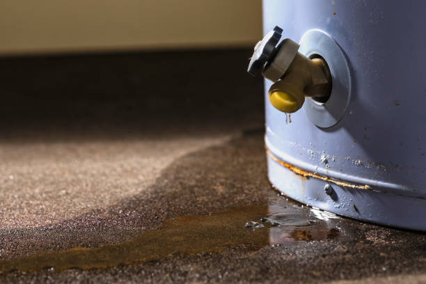 Best Basement water damage restoration  in Summerville, GA