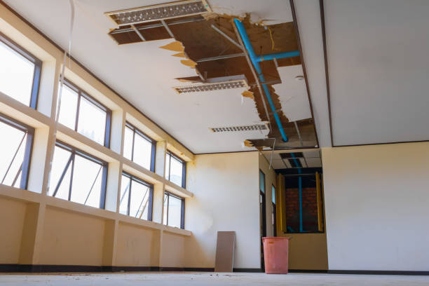 Best Flood restoration services  in Summerville, GA