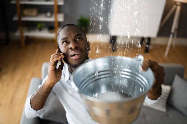 Best Water damage cleanup near me  in Summerville, GA
