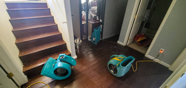 Best Mold removal after water damage  in Summerville, GA