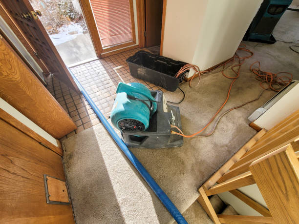 Best Local water damage restoration  in Summerville, GA