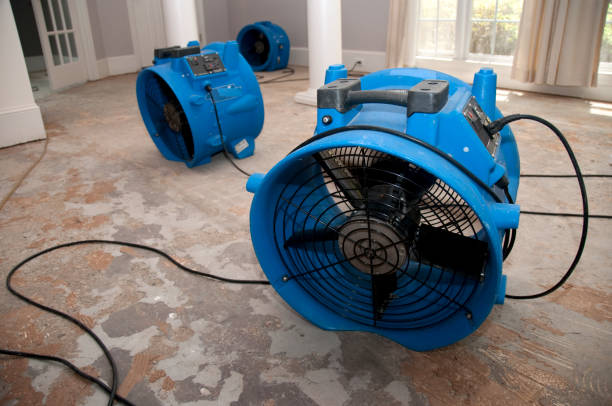 Best Residential water damage restoration  in Summerville, GA