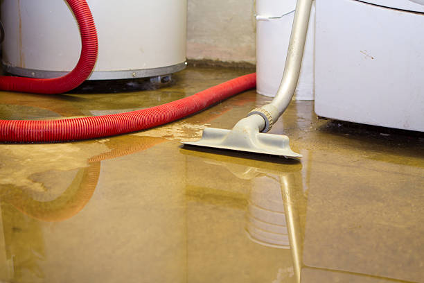 Best Water damage restoration cost  in Summerville, GA
